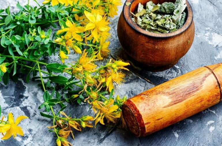 Why The Lost Book of Herbal Remedies is Essential for Holistic Wellness?